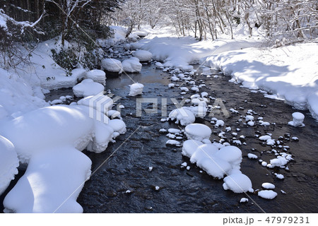 冬の北海道八雲町八熊峠の峠下で遊楽部川の河原の岩に大雪が積もりモコモコした風景を撮影 47979231