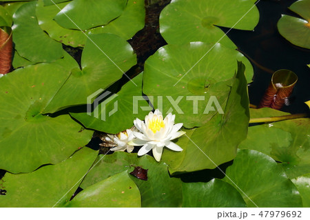 風景 観光 風 47979692