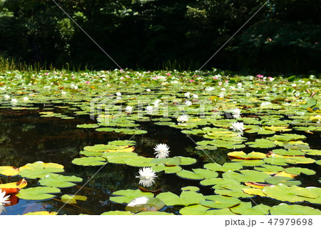 風景 観光 風 47979698