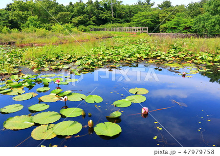 風景 観光 風 47979758