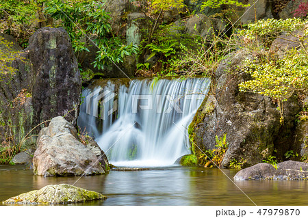 木漏れ日の滝 日本庭園の写真素材