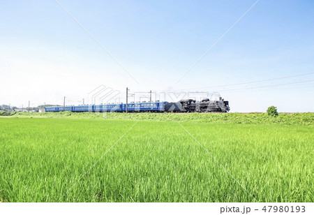 夏を走るsl 47980193