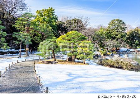 東京　冬の六義園 47980720