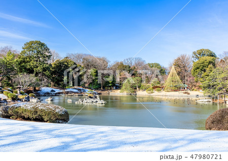 東京　冬の六義園 47980721