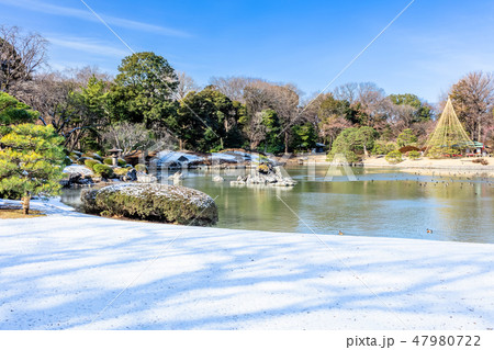 東京　冬の六義園 47980722