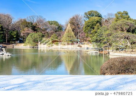 東京 冬の六義園 東京 冬の六義園 47980725