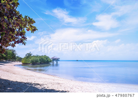 砂浜 ビーチ 空 47980767