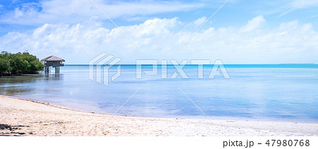 砂浜 ビーチ 空 47980768