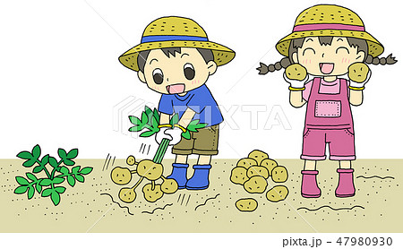 Potato Harvest Child Stock Illustration