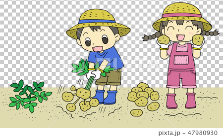じゃが芋 収穫 子供 じゃが芋 収穫 子供 47980930