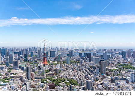 【東京都】都市風景 【東京都】都市風景 47981871
