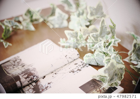 住宅イメージ 住宅イメージ 47982571