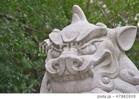 寒川神社 狛犬 寒川神社 狛犬 47982939