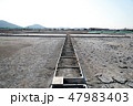 冬 始興 風景 47983403