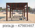 公園 始興 自然 47983407