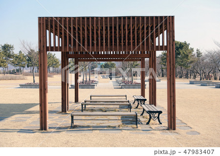 公園 始興 自然 47983407