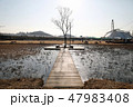 公園 始興 自然 47983408