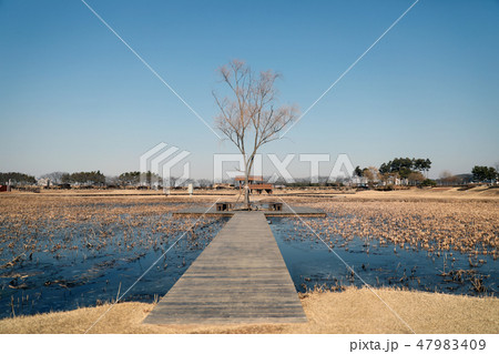 公園 始興 自然 47983409