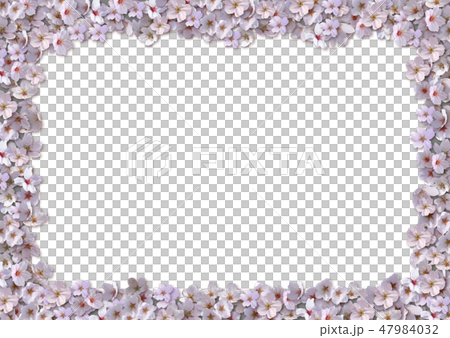 櫻桃樹框架角度R. 櫻桃樹框架角度R. 47984032