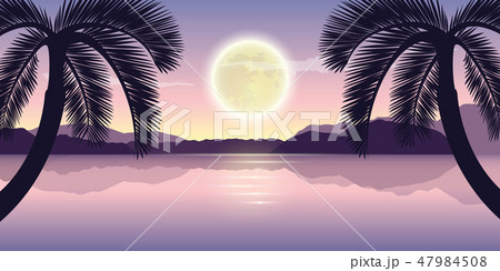 beautiful lake at night with palm trees and full moon purple holiday landscape beautiful lake at night with palm trees and full moon purple holiday landscape 47984508
