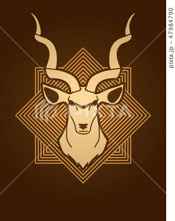 Kudu head front view graphic vector. Kudu head front view graphic vector. 47984790