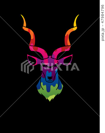 Kudu head front view graphic vector. Kudu head front view graphic vector. 47984796