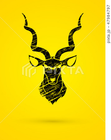 Kudu head front view graphic vector. Kudu head front view graphic vector. 47984797