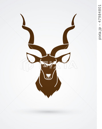 Kudu head front view graphic vector. 47984801