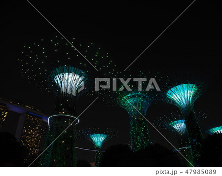 ガーデンズ・バイ・ザ・ベイ　ラプソディ 47985089