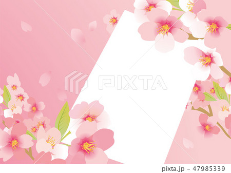 桜の手紙 桜の手紙 47985339