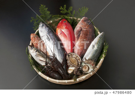 鮮魚 鮮魚 47986480