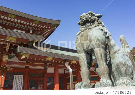 神社本殿と狛犬 47986525