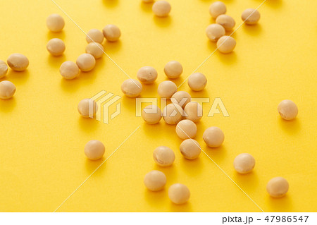 大豆 大豆 47986547