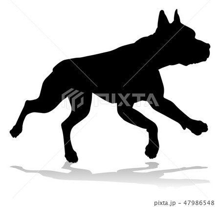Dog Silhouette Pet Animal 47986548
