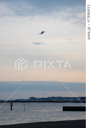 城南島海浜公園 47986651