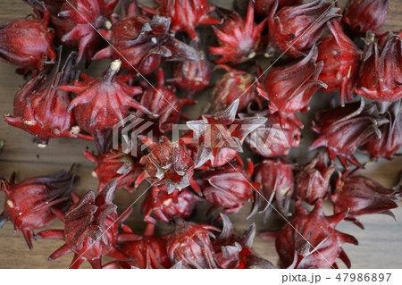 Sepals of Hibiscus, Rosella(ハイビスカスの萼、ローゼルの萼) Sepals of Hibiscus, Rosella(ハイビスカスの萼、ローゼルの萼) 47986897