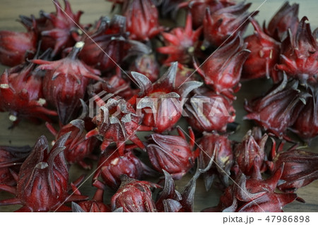 Sepals of Hibiscus, Rosella(ハイビスカスの萼、ローゼルの萼) 47986898