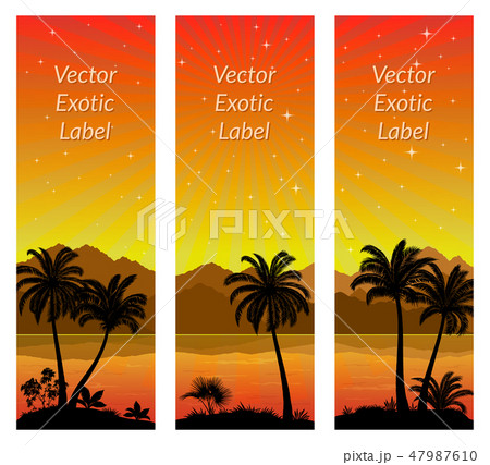Labels with Palms Labels with Palms 47987610