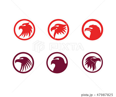 Eagle head bird logo and symbol vector Eagle head bird logo and symbol vector 47987825