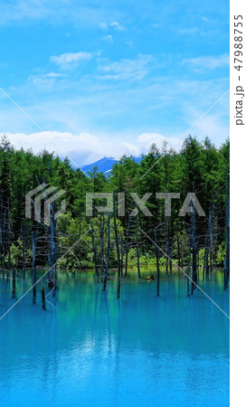 青い池 青い池 47988755