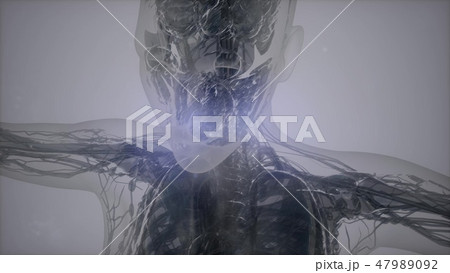 3D magnetic resonance image scan 47989092