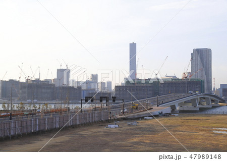 豊洲市場から見る「環二通り」　晴海方面の風景　　 47989148