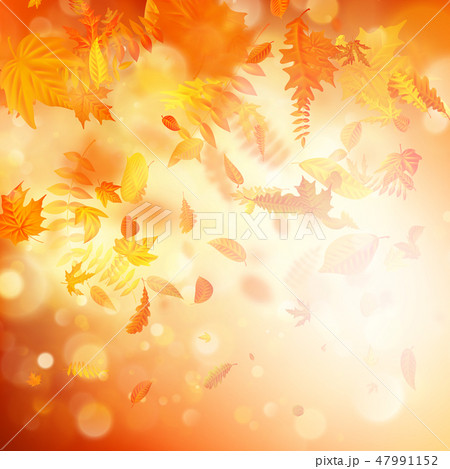 Autumn background with natural leaves and bright sunlight. EPS 10 47991152