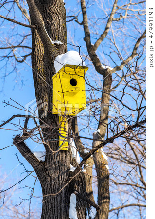 Birdhouse affixed to a tree trunk 47991193