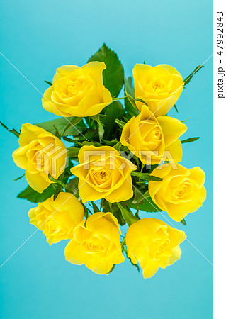 Fresh yellow roses bouquet Fresh yellow roses bouquet 47992843