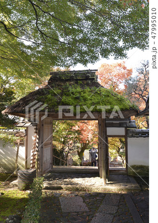 秋の安楽寺 秋の安楽寺 47995010