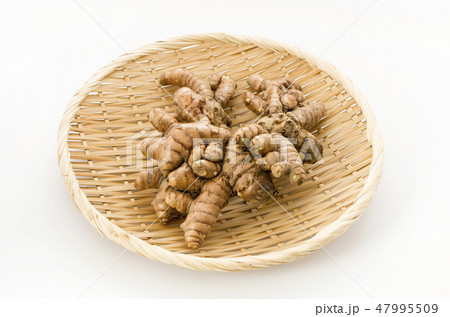 春ウコン 47995509