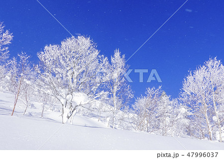 雪原と霧氷と風1 雪原と霧氷と風1 47996037