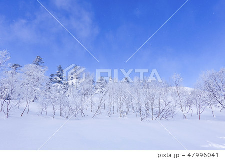 雪原と霧氷と風3 雪原と霧氷と風3 47996041