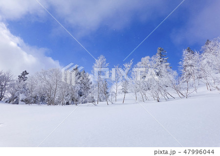 雪原と霧氷と風6 雪原と霧氷と風6 47996044